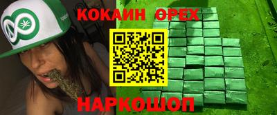 индика Ставрополь