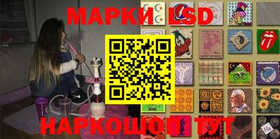 индика Ставрополь