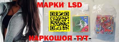 индика Ставрополь