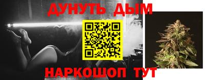 индика Ставрополь