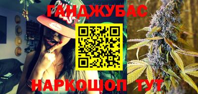 индика Ставрополь