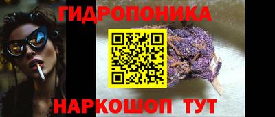 индика Ставрополь