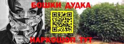 индика Ставрополь