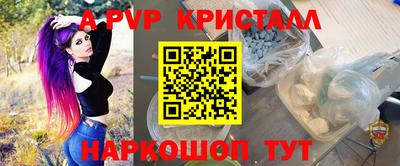 индика Ставрополь