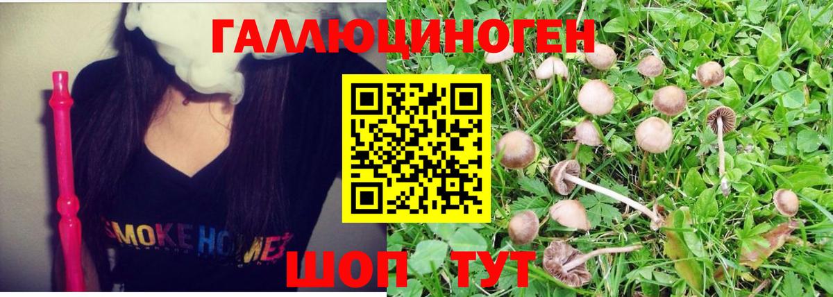 магазин    Псилоцибиновые грибы Psilocybe  Новозыбков  Вход с VPN  Галлюциногенные грибы Cubensis 